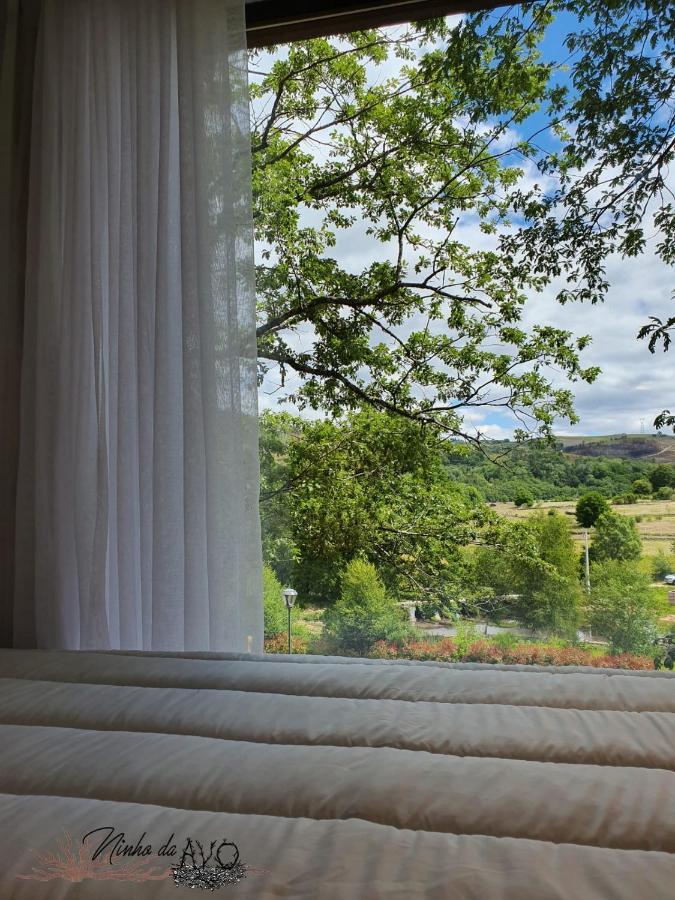 Villa Ninho da Avó Selvagem Montalegre Exterior foto