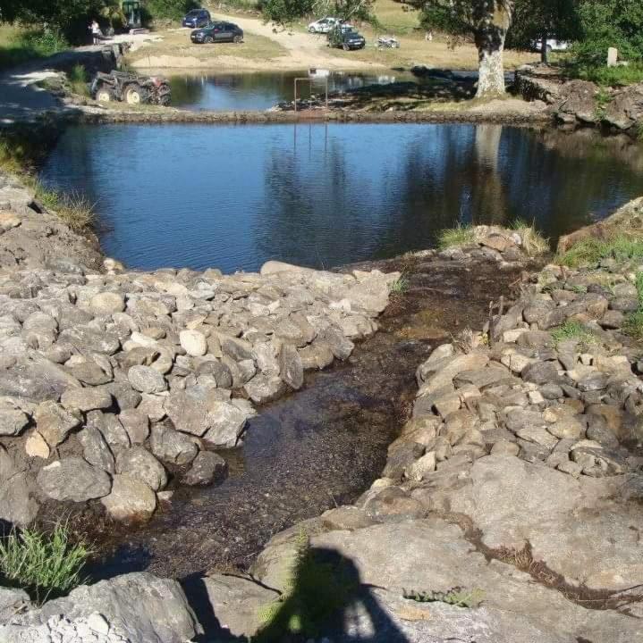 Villa Ninho da Avó Selvagem Montalegre Exterior foto