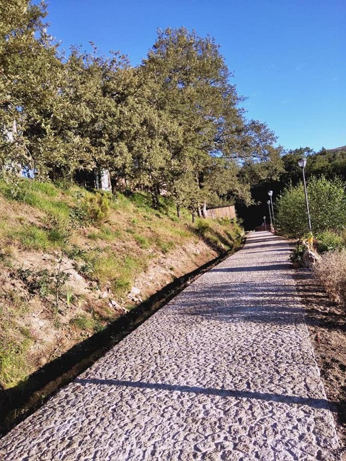 Villa Ninho da Avó Selvagem Montalegre Exterior foto